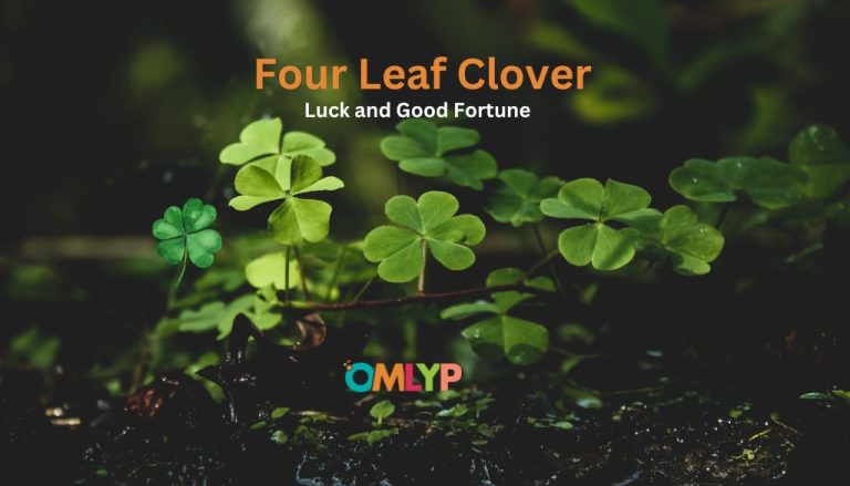 Four Leaf Clover Meaning Of The Four Leaf Clover 768x439 