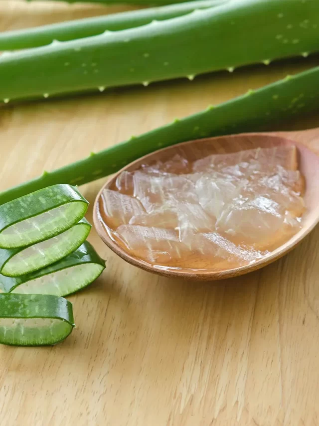 Read more about the article Aloe Vera: Your Natural Wellness Companion