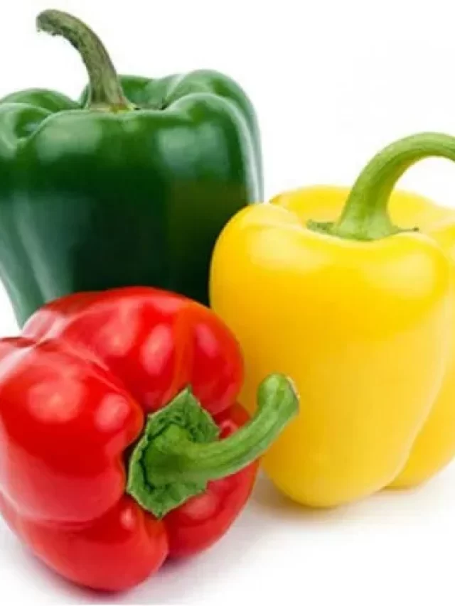 Read more about the article Capsicum: Delicious Ways to Boost Your Diet and Health