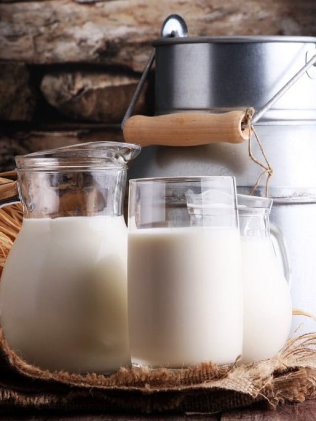 Read more about the article Milk: A Daily Elixir for Health and Vitality