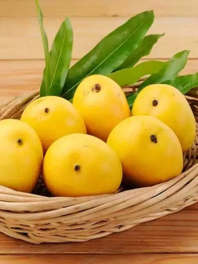 Read more about the article Mango Mania: Dive Into Sweet Nutrition